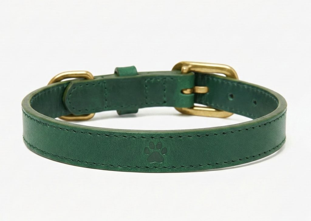 Leather Dog Collar Strap 1